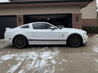 IMG_7537.jpeg