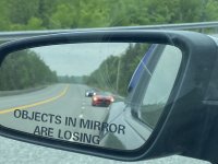 IMG_3556.jpeg
