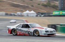 IMG_8260.jpeg