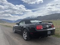 IMG_4219.jpeg