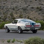IMG_7696.jpeg