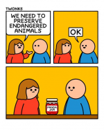 1781808289925.png