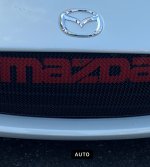IMG_5484.jpeg