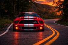 IMG_7721.jpeg