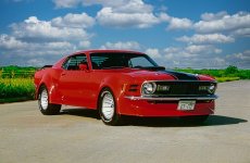 IMG_7824.jpeg