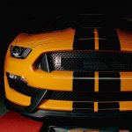 IMG_7762.jpeg