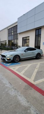 IMG_7862.jpeg