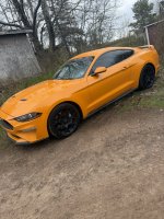 IMG_0325.JPEG
