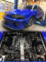 IMG_8049.jpeg