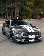 IMG_7910.jpeg