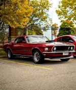IMG_7978.jpeg