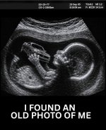 IMG_8644.jpeg