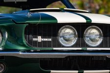 IMG_8064.jpeg
