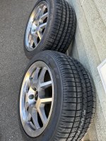 IMG_8661.jpeg