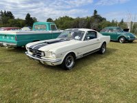 IMG_0310.jpeg