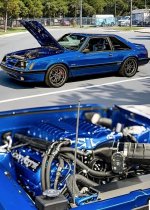 IMG_8116.jpeg