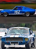 IMG_8749.jpeg