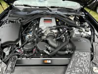 IMG_8773.jpeg