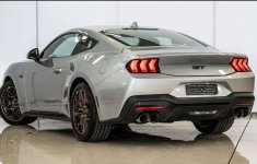 IMG_8123.jpeg