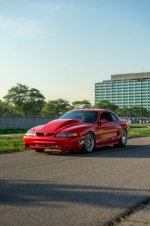 IMG_8151.jpeg