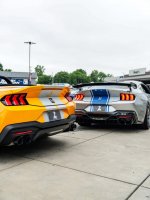 IMG_8150.jpeg
