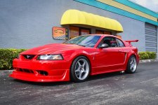 IMG_8173.jpeg