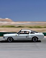 IMG_8920.jpeg