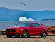 5 MC Stanger.JPG