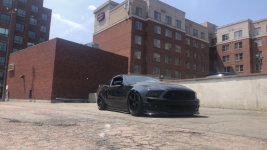 9 BlackStallion_S197.jpeg