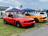 IMG_8338.jpeg
