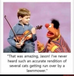 1786233546085.png