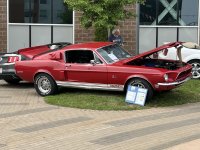 IMG_9038.jpeg