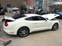 IMG_9039.jpeg