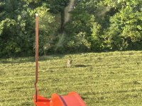 IMG_8907.jpeg