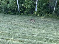 IMG_8900.jpeg