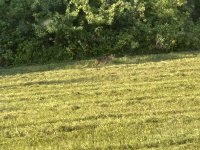 IMG_8902.jpeg