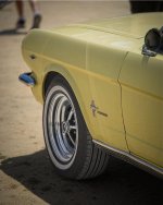 IMG_8437.jpeg