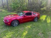 IMG_8424.jpeg