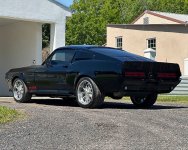 IMG_8442.jpeg