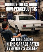 IMG_9211.jpeg