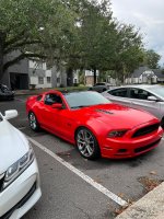 IMG_8487.jpeg
