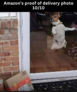 1787880497703.png