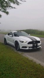 IMG_8627.jpeg