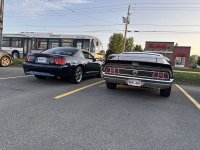 IMG_7295.jpeg