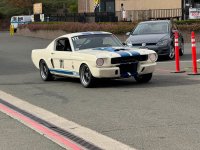 IMG_9334.jpeg