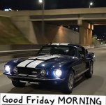 IMG_8755.jpeg