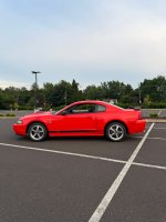 IMG_8697.jpeg