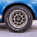 IMG_8919.jpeg