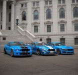IMG_9001.jpeg