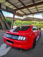 IMG_9080.jpeg